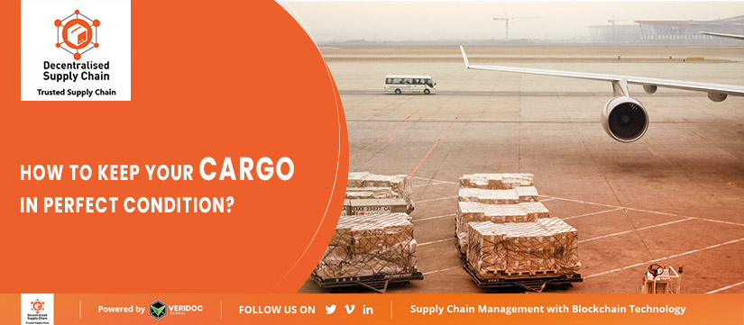 How to Keep your Cargo in Perfect Condition?